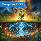 PhosphatePHIX  - Acres (Outdoor)